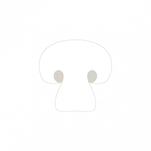 Casa-bella-pizzeria-reine