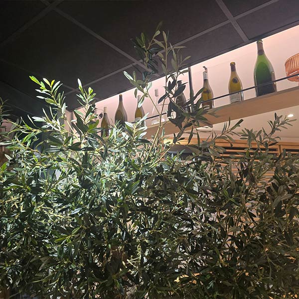 casa-bella-pizzeria-dijon