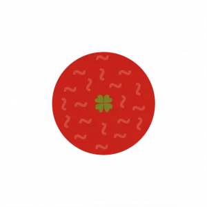 casa-bella-pizzeria-dijon-bolo