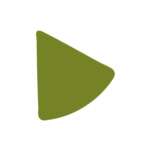 Les Pizzas Classiques