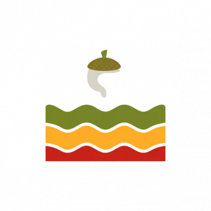 casa-bella-pizzeria-dijon-tiramisu-noisette